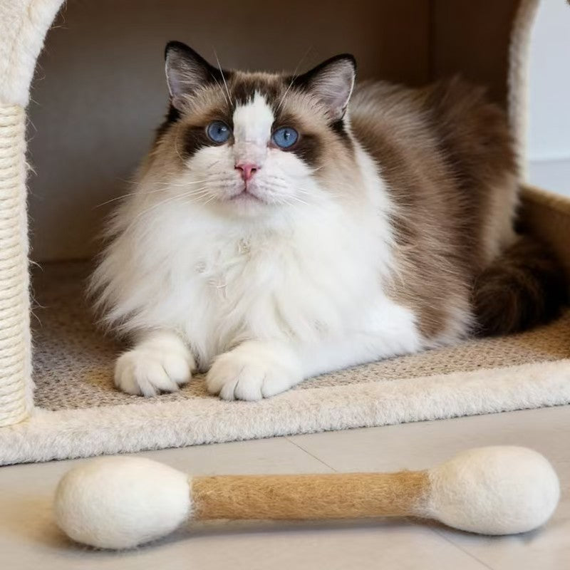 The Clubhouse Cat Toy