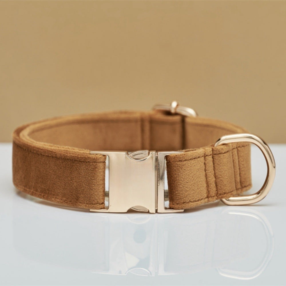 The Windsor Dog Collar & Leash