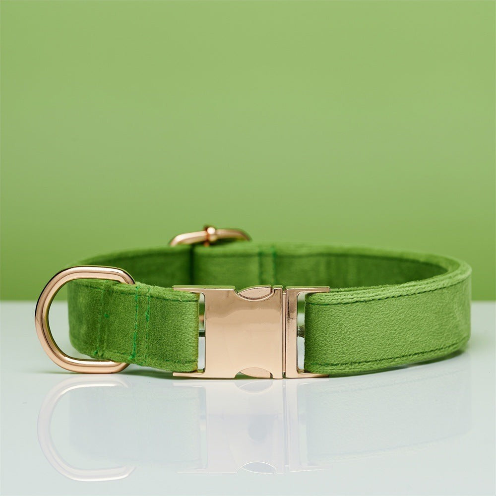 The Spoiled Pet Club apple green velvet dog collar with gold-tone metal buckle and D-ring on a reflective surface.