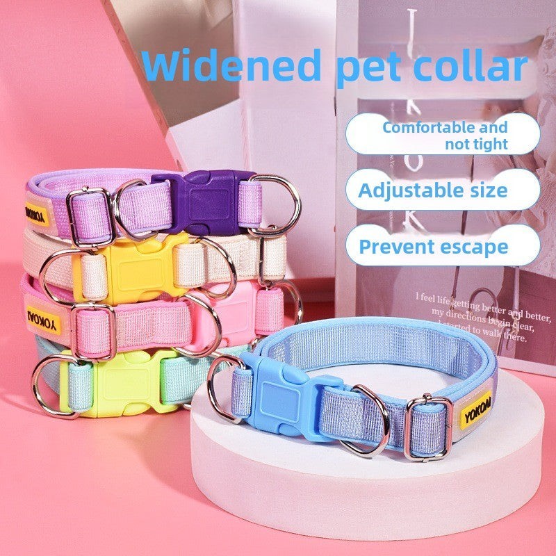 The Spoiled Pet Club Astor Heavy-Duty Collar in blue, pink, yellow, green, and purple. Made of polypropylene with adjustable fit and durable leash.
