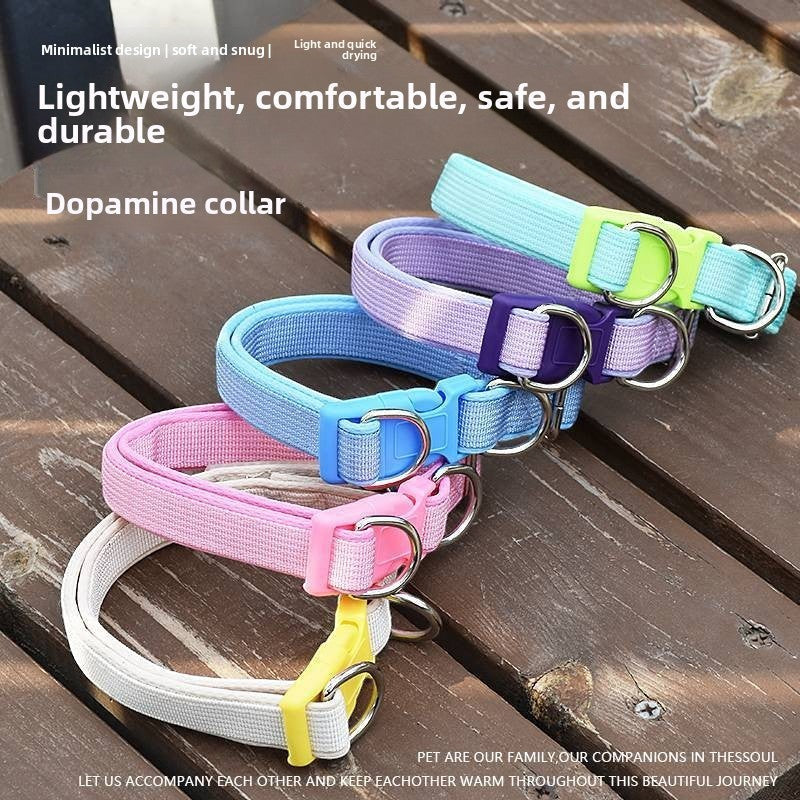 The Spoiled Pet Club Astor Heavy-Duty Collar in pink, blue, purple, and teal polypropylene with adjustable fit and leash attachment.