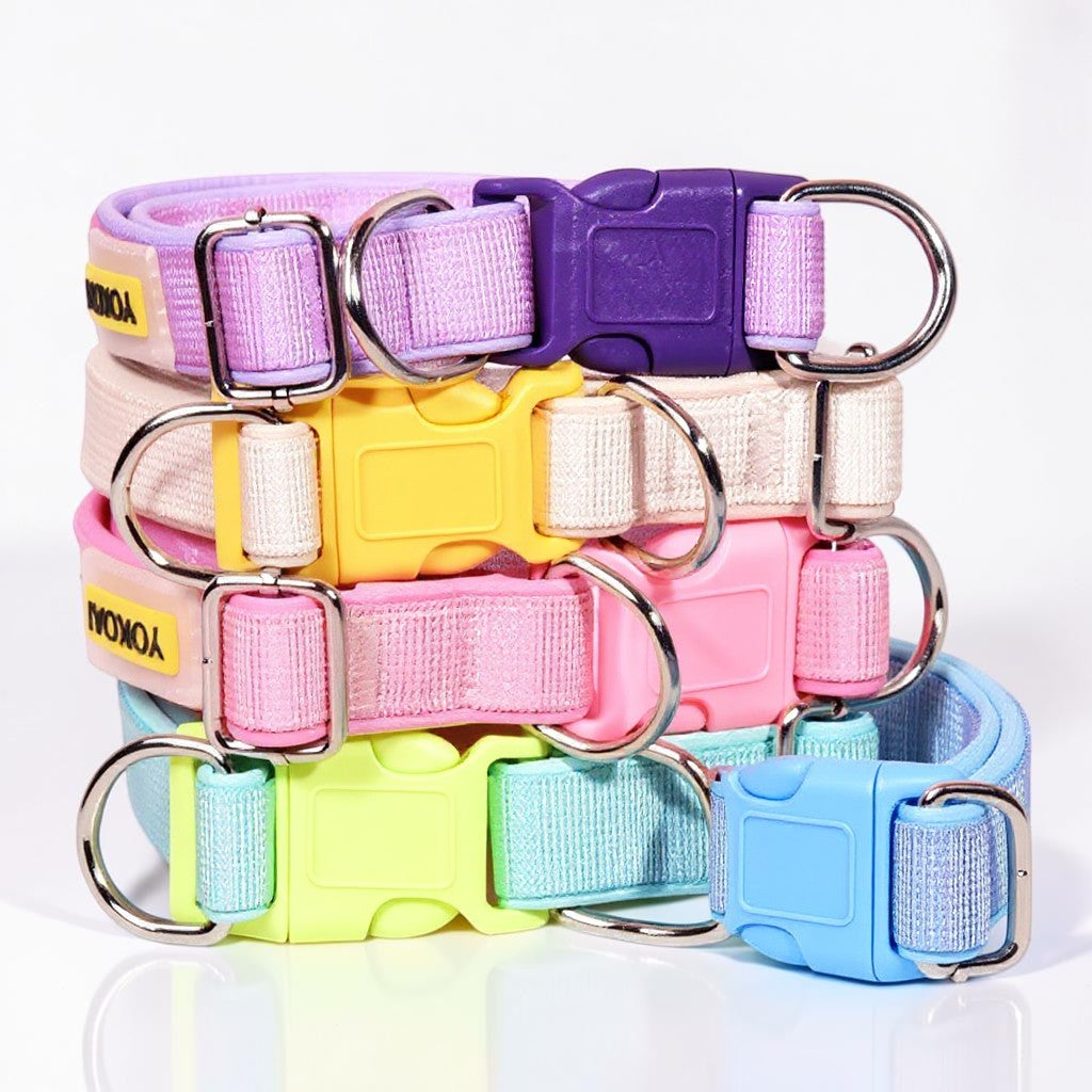 The Spoiled Pet Club Astor Heavy-Duty Collar in pink, yellow, blue, green, and purple. Made of polypropylene with adjustable fit and durable leash.