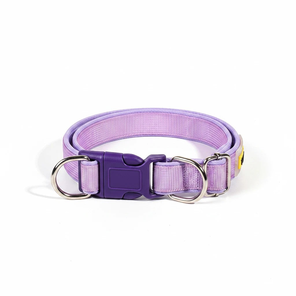 The Spoiled Pet Club Astor Heavy-Duty Collar in purple polypropylene with a quick-release buckle and D-rings.