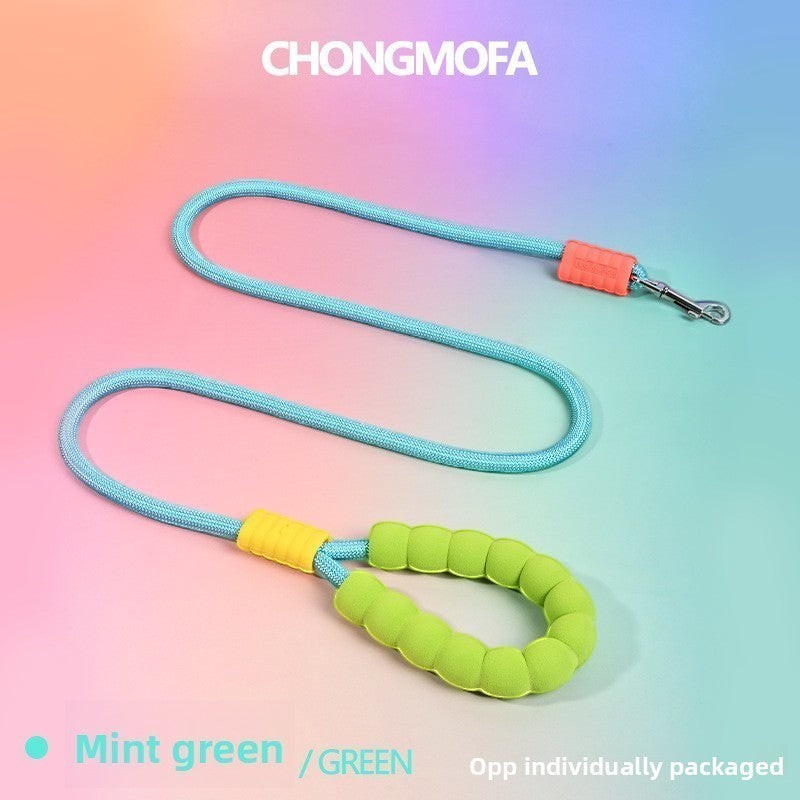 The Spoiled Pet Club Astor rope leash in mint green with a comfortable padded handle and durable metal clip.