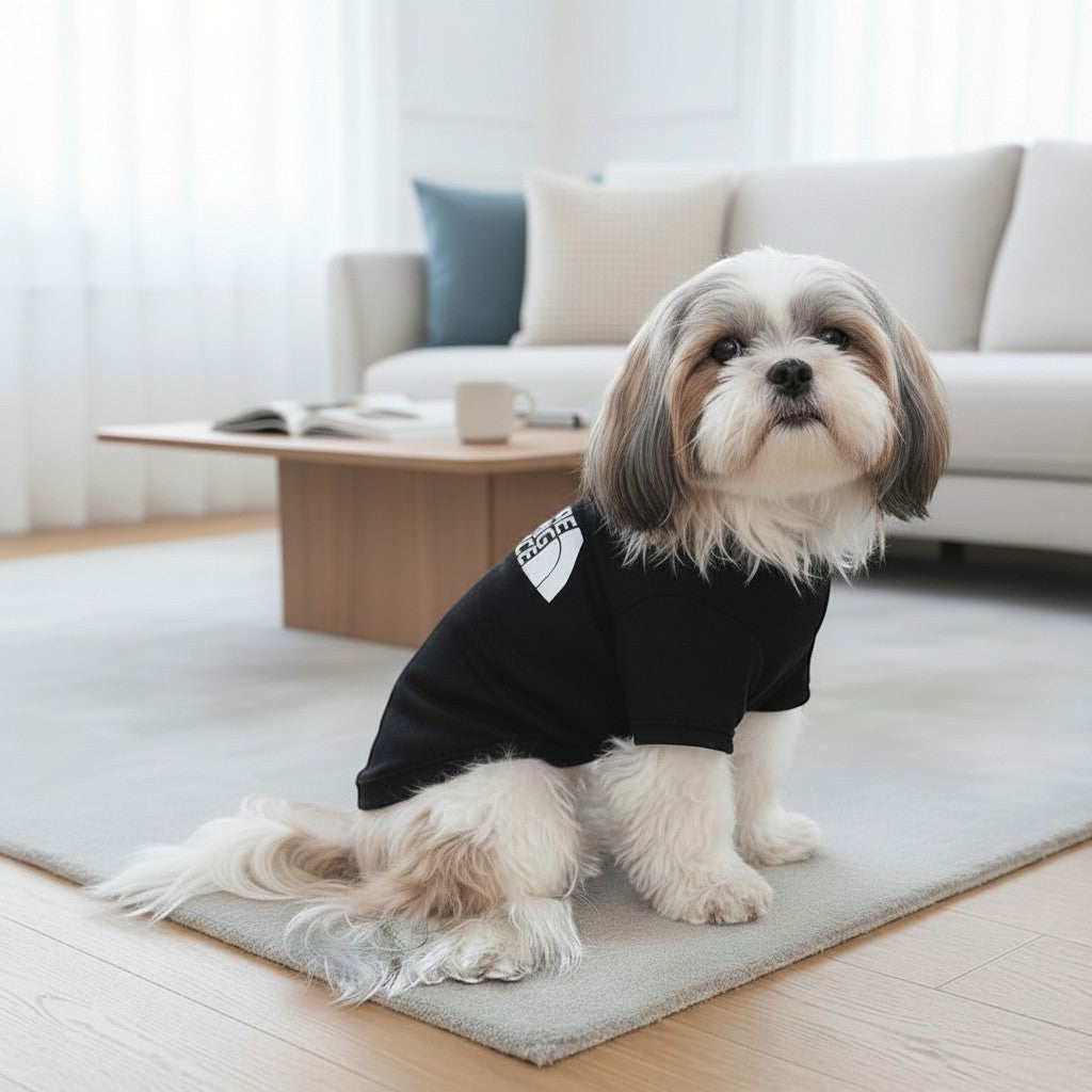 The Spoiled Pet Club black cotton dog t-shirt worn by a fluffy Shih Tzu sitting on a rug in a bright living room.