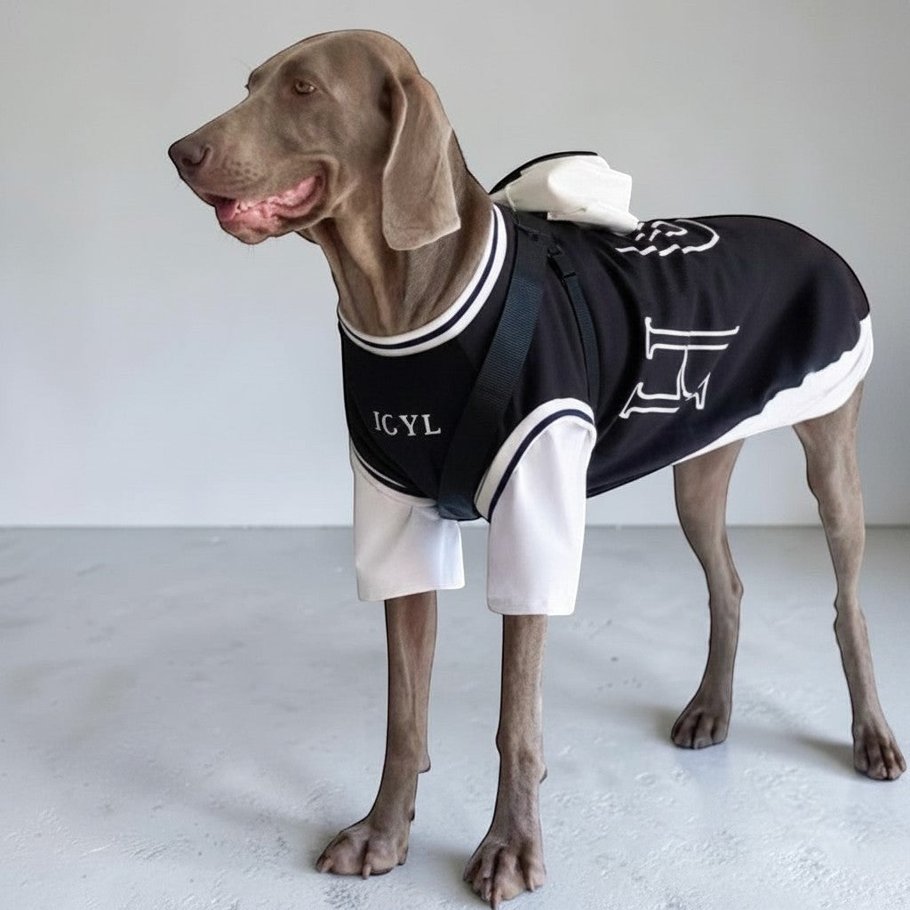 The Spoiled Pet Club black and white two-piece dog outfit on a Weimaraner, featuring breathable polyester fabric.