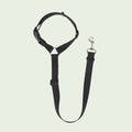 The Spoiled Pet Club black nylon dog seat belt with adjustable strap and heavy-duty metal swivel clip