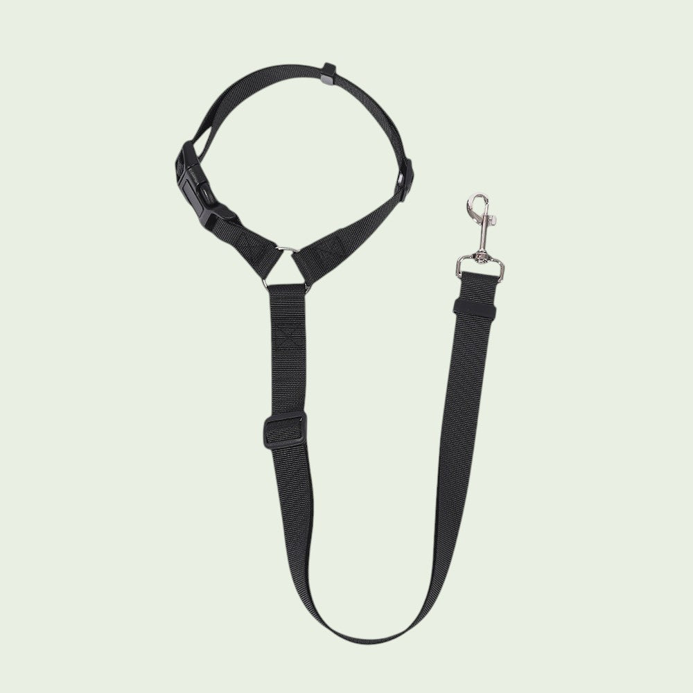 The Spoiled Pet Club black nylon dog seat belt with adjustable strap and heavy-duty metal swivel clip