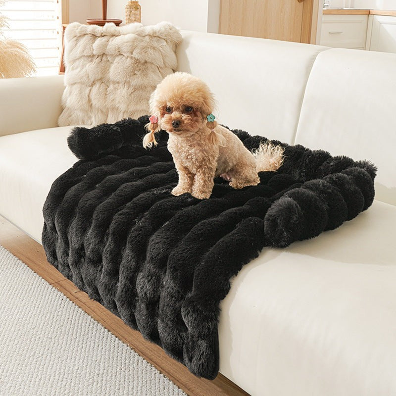 The Spoiled Pet Club black plush couch nest with a small poodle dog sitting on it.