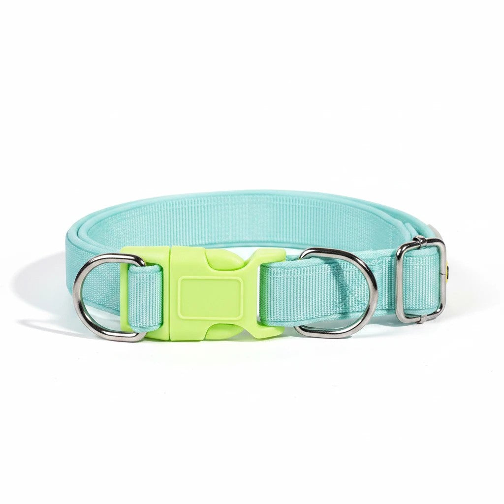 The Spoiled Pet Club Astor Heavy-Duty Collar in light blue polypropylene with a bright green buckle and silver D-rings.