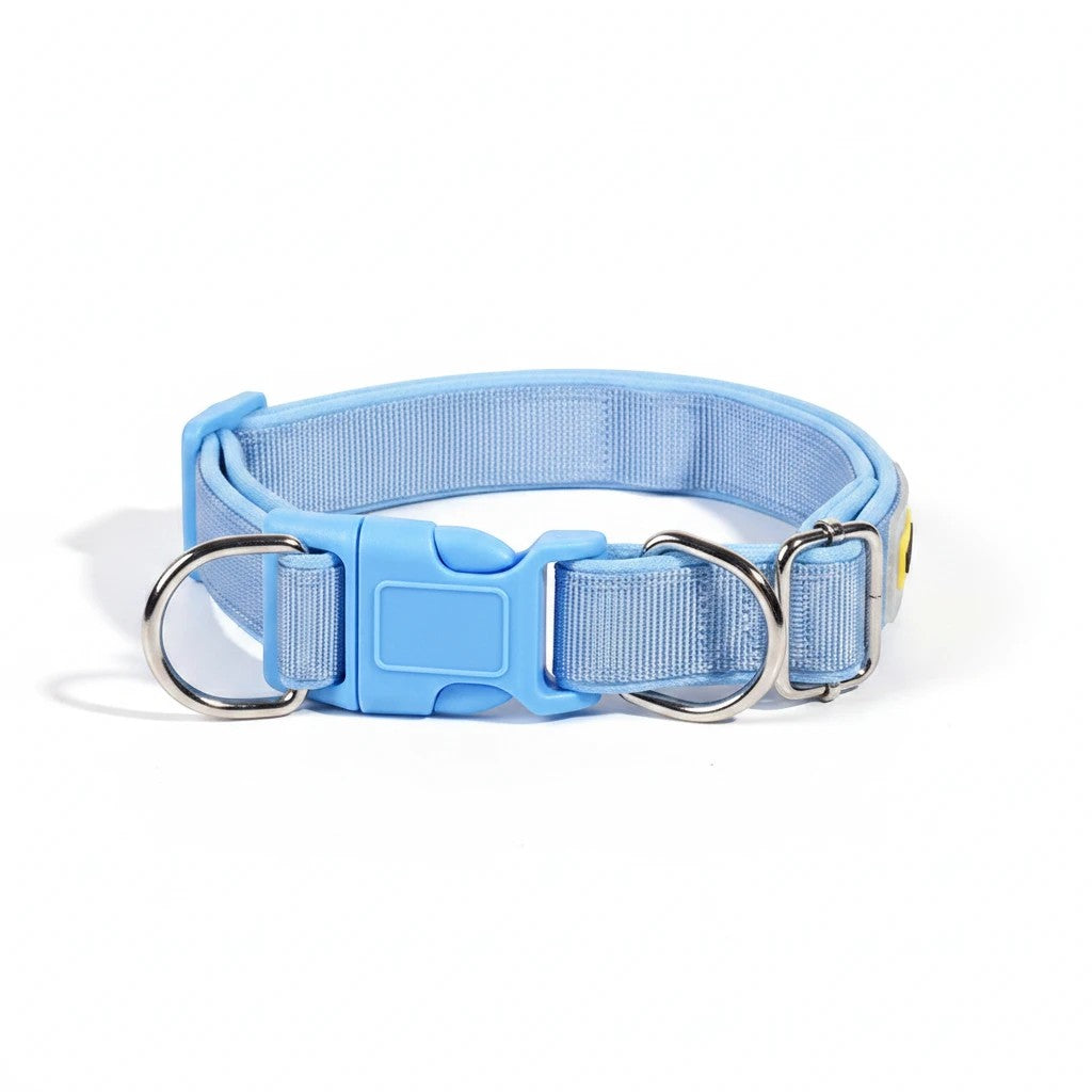 The Spoiled Pet Club blue polypropylene dog collar with adjustable fit and quick-release buckle.