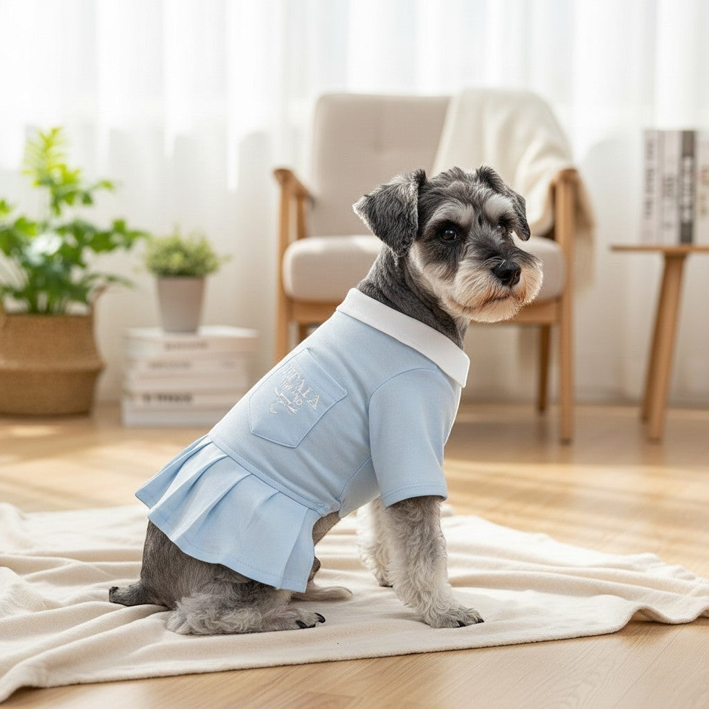 Schnauzer wearing a light blue cotton polo dress from The Spoiled Pet Club with a white collar and pleated skirt.