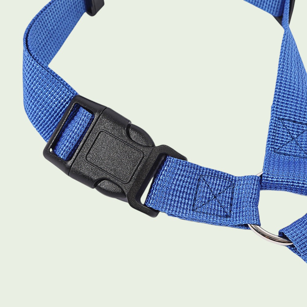 The Spoiled Pet Club blue nylon dog seat belt featuring a durable quick-release buckle and adjustable strap design.