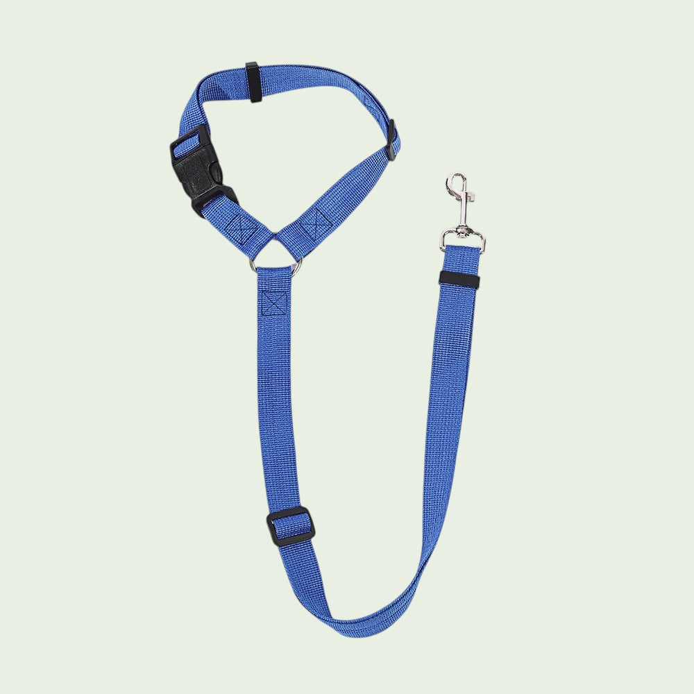 The Spoiled Pet Club blue nylon dog seat belt with adjustable strap and heavy-duty metal swivel clip for car safety.