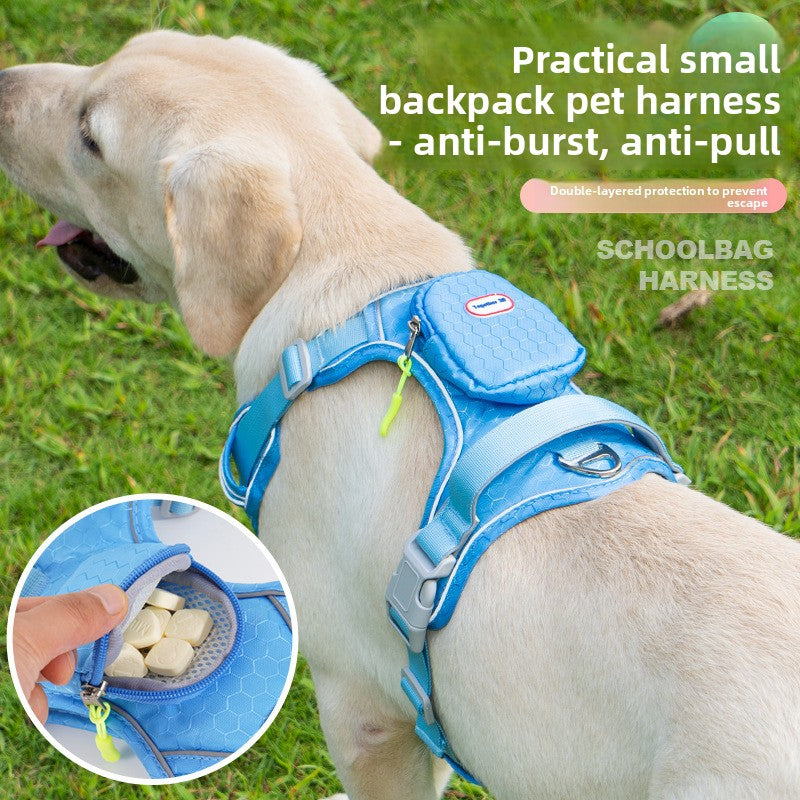 The Spoiled Pet Club blue reflective dog harness with a small storage pouch on a dog standing in grass