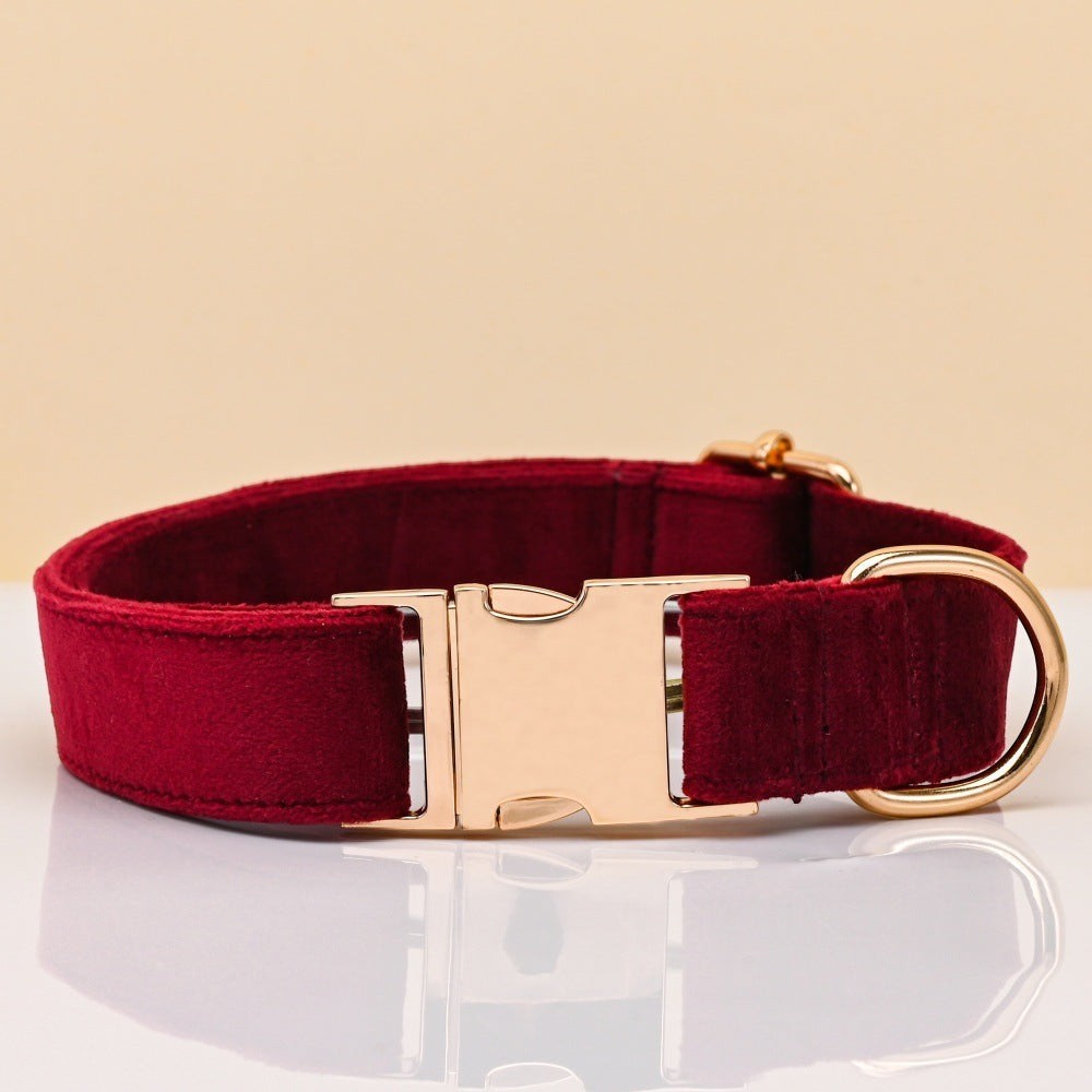 The Spoiled Pet Club burgundy velvet dog collar with gold-tone metal buckle and D-ring on a neutral background.