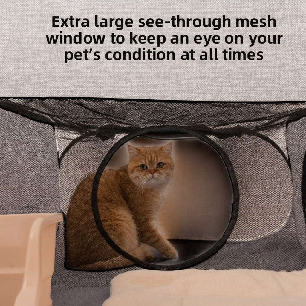 The Spoiled Pet Club Serene Sun Catio pop-up play tent with tunnel and mesh window. Orange tabby cat sits inside.
