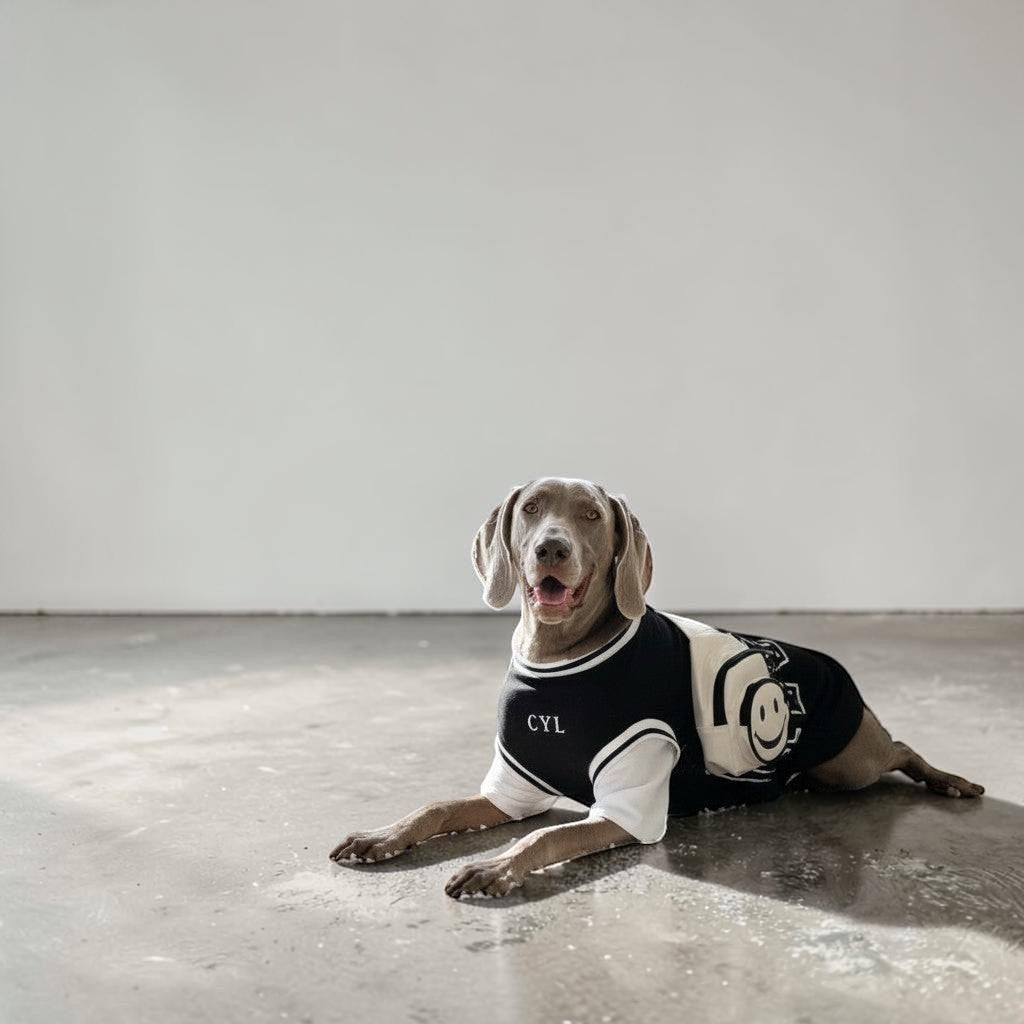 The Spoiled Pet Club black and white two-piece summer outfit on a Weimaraner dog with a smiley face graphic.