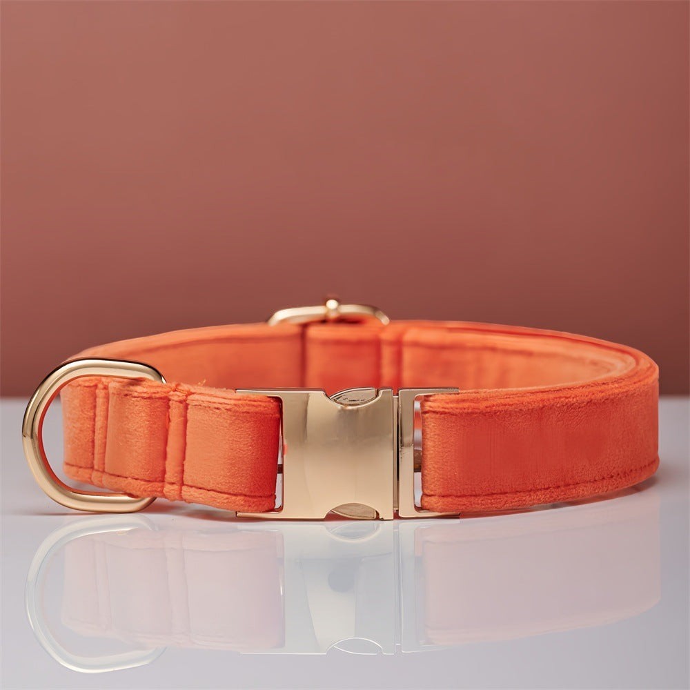 The Spoiled Pet Club coral orange velvet dog collar with polished gold-tone metal buckle and D-ring.