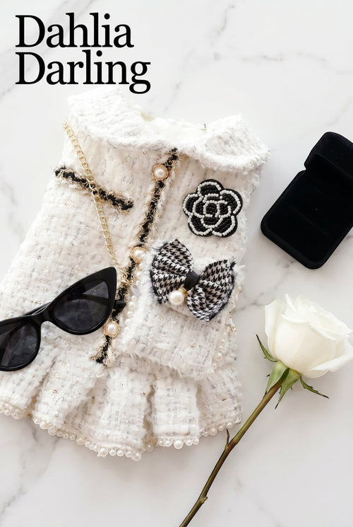 The Spoiled Pet Club Dahlia Darling white tweed dog dress with black floral embellishments, pearl trim, and bow.