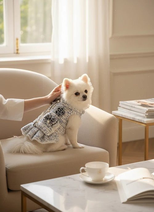 The Spoiled Pet Club Dahlia Darling Tweed Dress for small dogs, featuring a light blue tweed fabric, pearl trim, and floral embellishments.