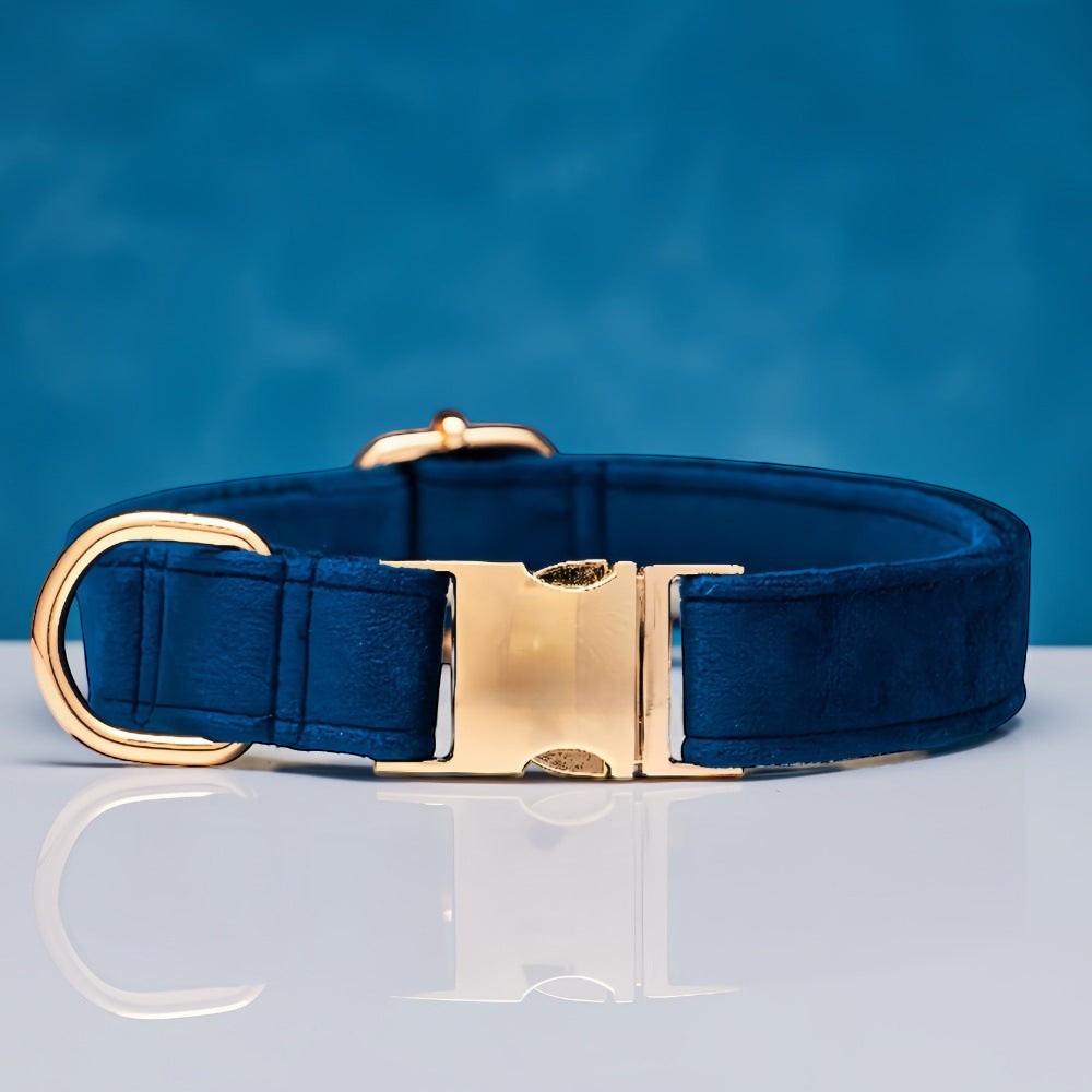 The Spoiled Pet Club dark blue velvet dog collar with gold buckle and D-ring, adjustable and comfortable.