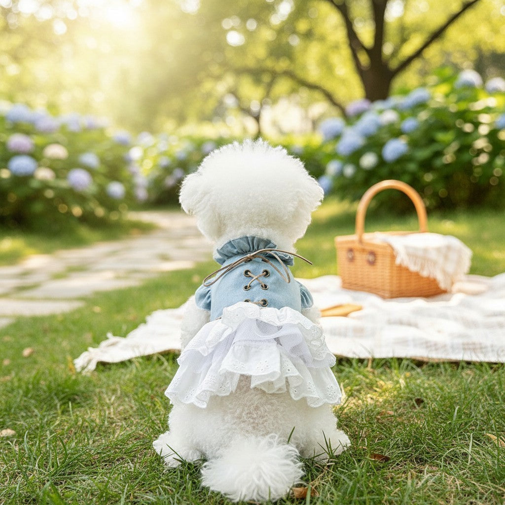 The Spoiled Pet Club denim and white lace ruffled pet dress on a white dog sitting in a sunny garden picnic setting.
