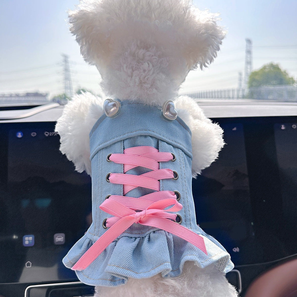 The Spoiled Pet Club denim pet dress with pink lace-up ribbon detail and heart buttons on a fluffy white dog