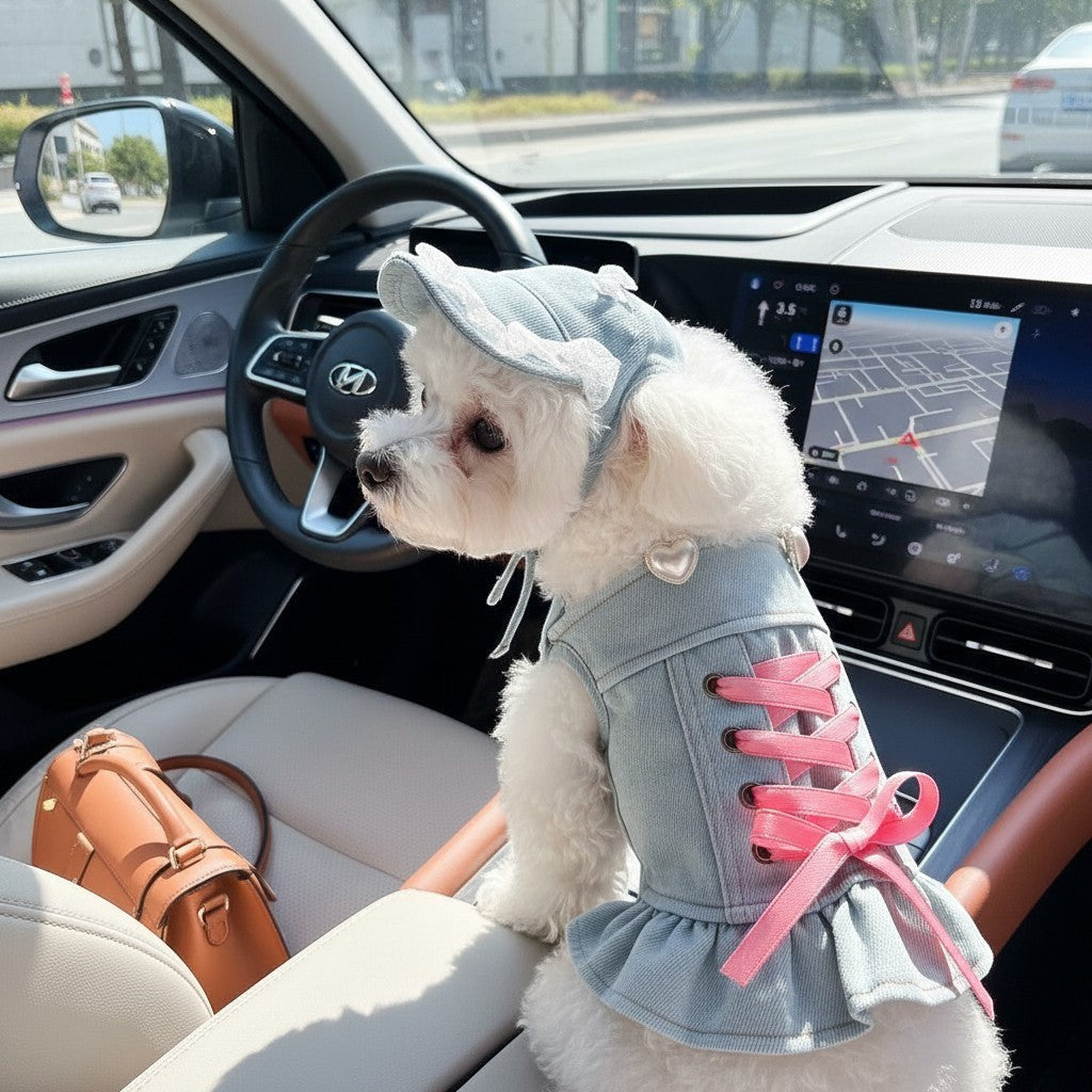 The Spoiled Pet Club denim pet dress with pink lace-up ribbon and matching sun hat on a small white dog in a car.