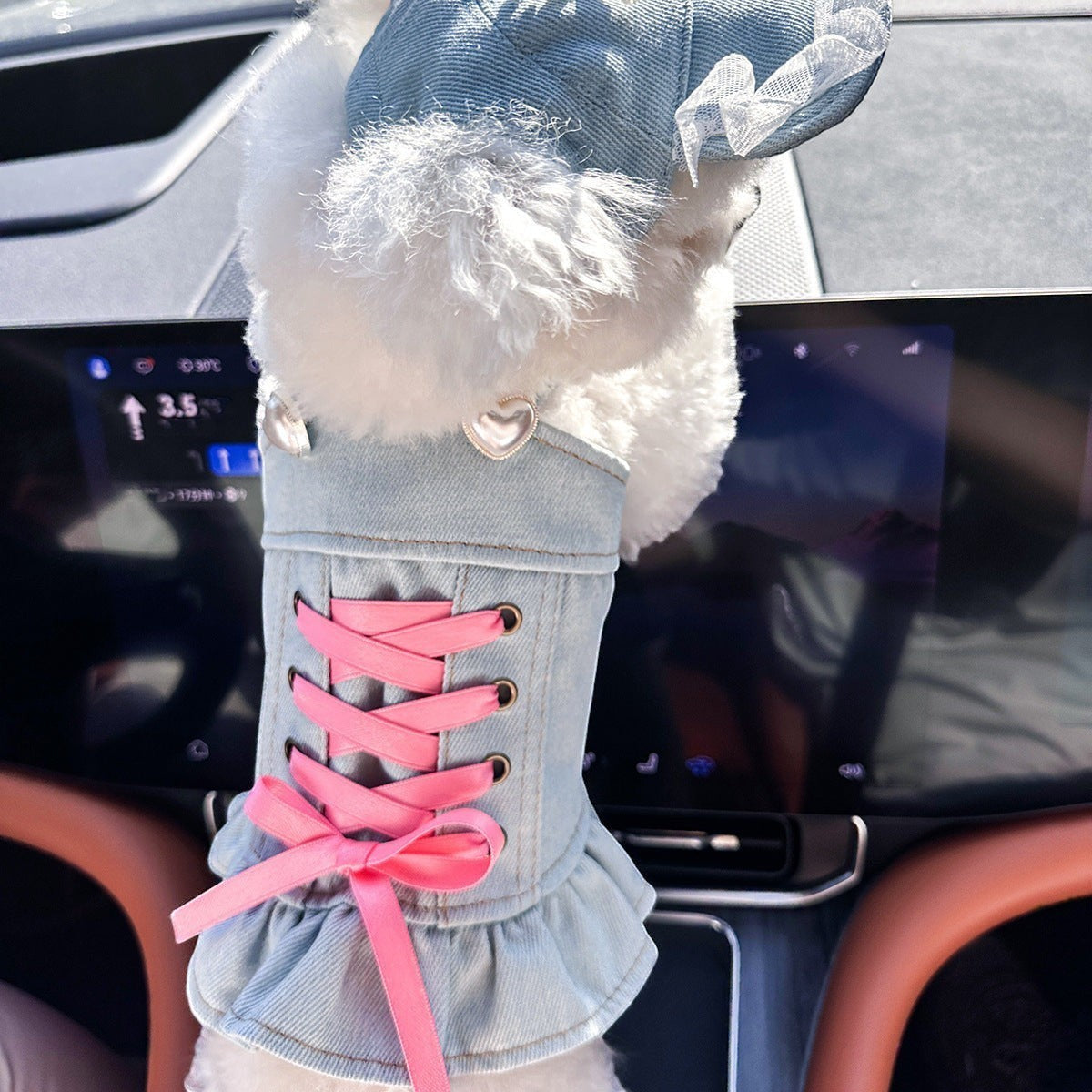The Spoiled Pet Club denim pet dress with pink lace-up ribbon, heart buttons, and matching hat on a white dog.
