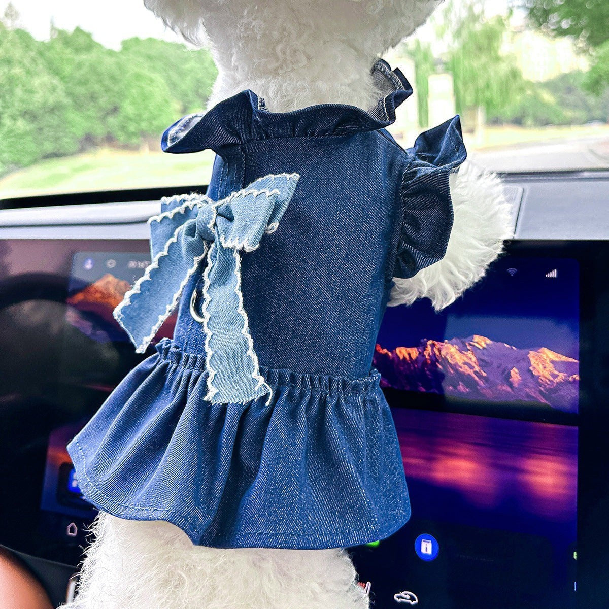 The Spoiled Pet Club denim pet dress with a ruffled collar, sleeves, and a large bow detail for small dogs.