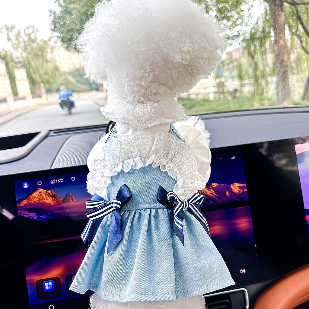 The Spoiled Pet Club denim pet dress with white lace trim and blue striped bows on a fluffy white dog in a car.