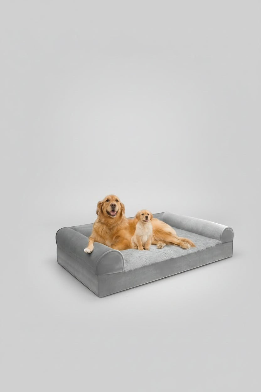 The Spoiled Pet Club gray orthopedic dog bed with plush bolster sides and a soft gray faux fur cushion. Two golden retrievers relax on the bed.