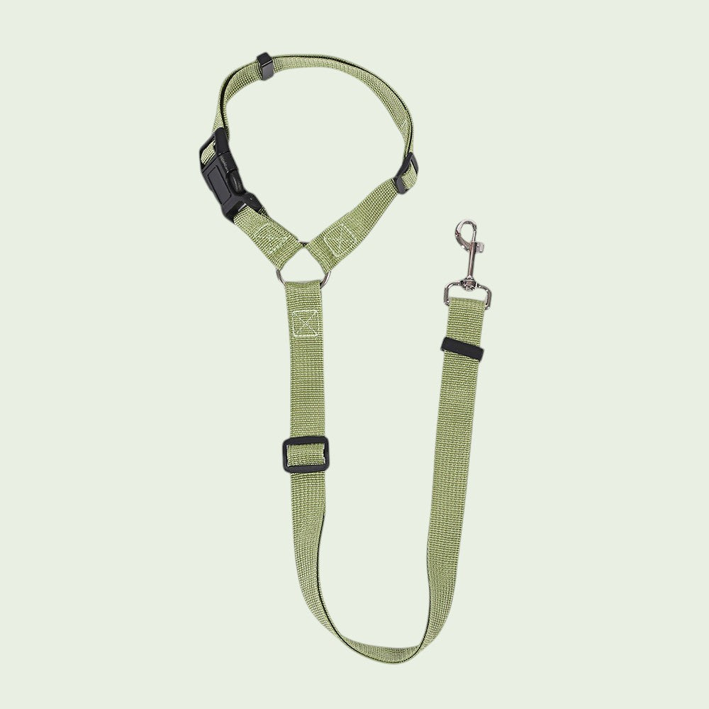 The Spoiled Pet Club green adjustable nylon dog seat belt with a heavy-duty metal swivel clip for car travel safety.
