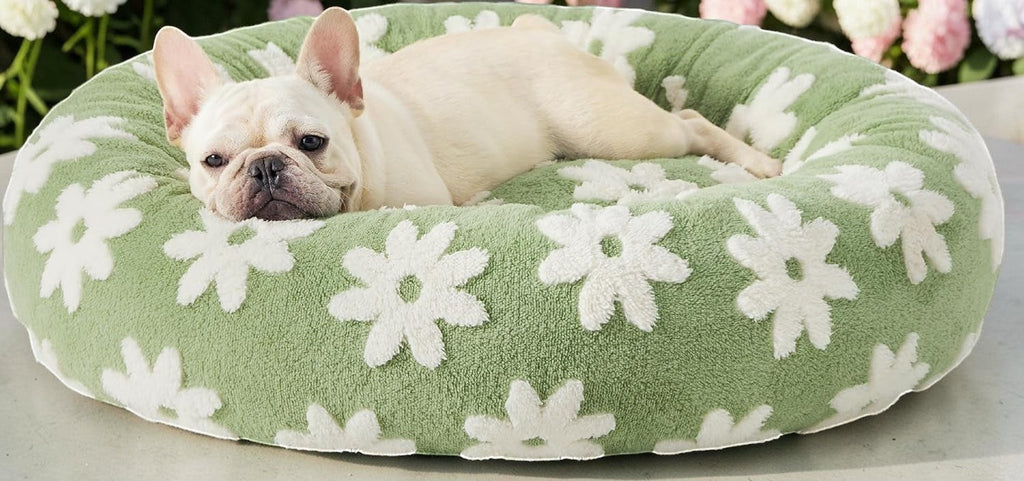The Spoiled Pet Club round green pet bed with white floral pattern, featuring a cozy French Bulldog resting inside.