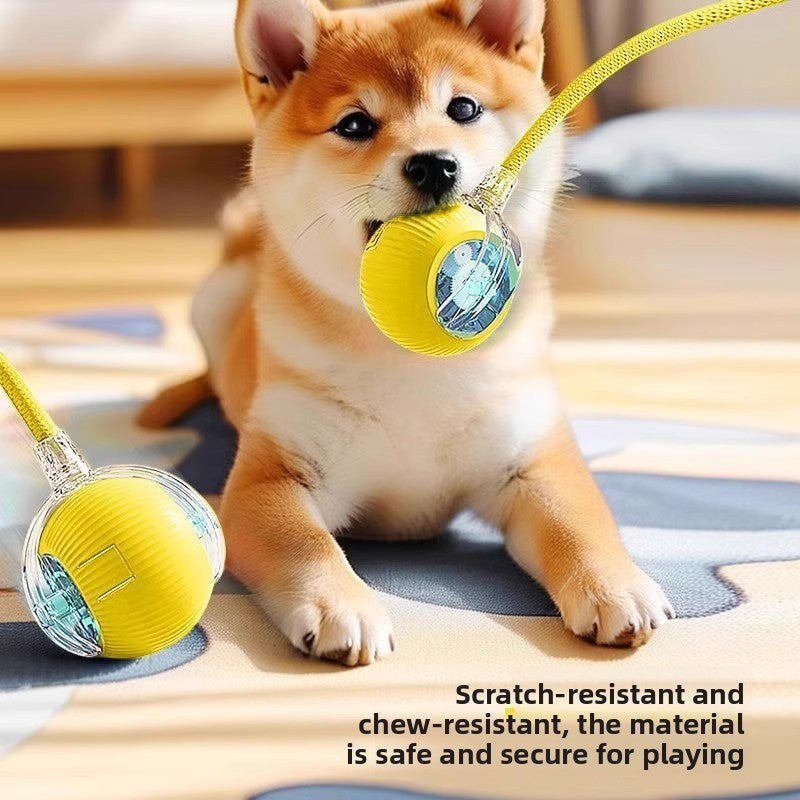 The Spoiled Pet Club interactive yellow rolling dog toy being held by a cute Shiba Inu puppy on a play mat