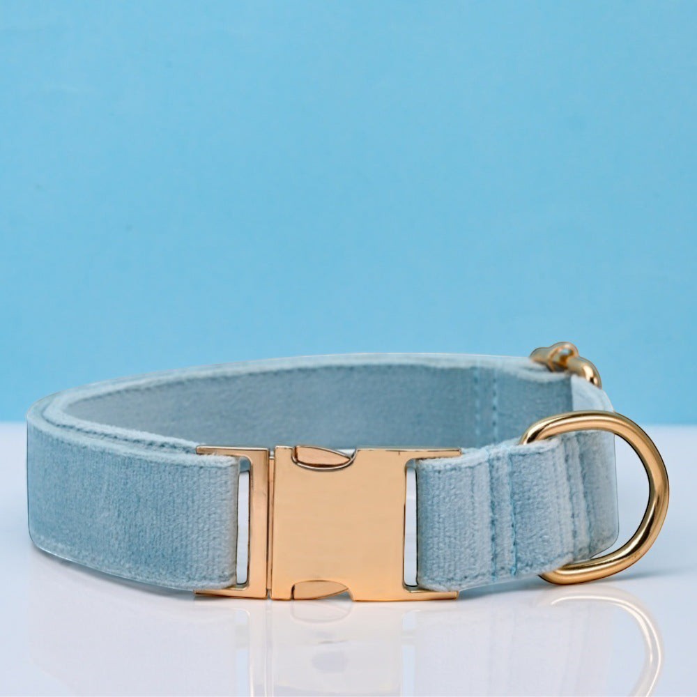 The Spoiled Pet Club light blue velvet dog collar with gold metal buckle and D-ring, adjustable length.