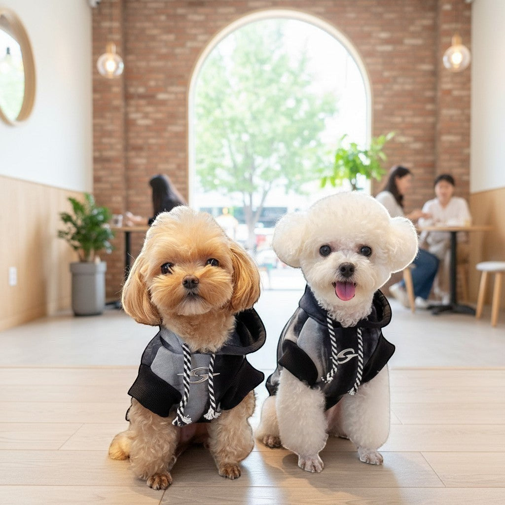 Two small dogs wearing The Spoiled Pet Club grey and black tie-dye Maverick hoodies with striped drawstrings.
