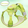 The Spoiled Pet Club mint green breathable dog harness with reflective trim and a small zippered storage pouch