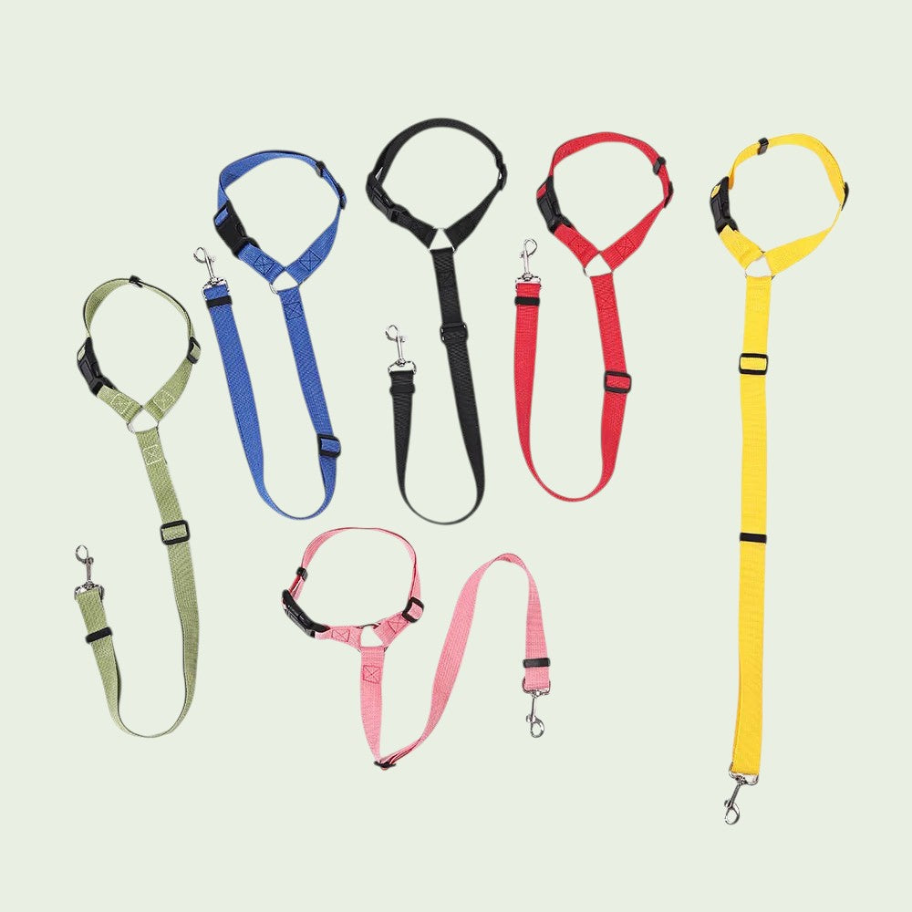 The Spoiled Pet Club PawLink adjustable nylon dog seat belts in black, red, pink, green, yellow, and blue colors.