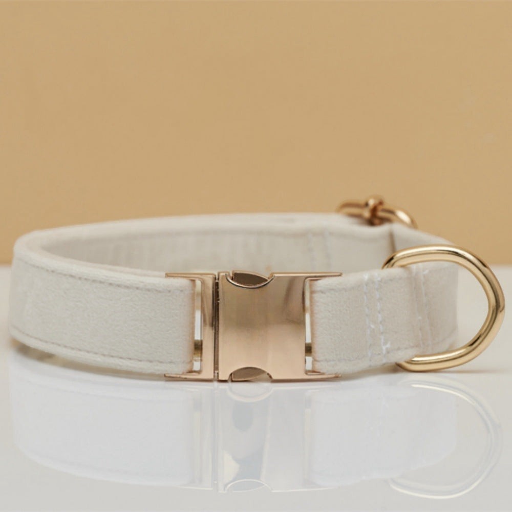 The Spoiled Pet Club off-white velvet dog collar with a polished gold-tone metal buckle and D-ring attachment.