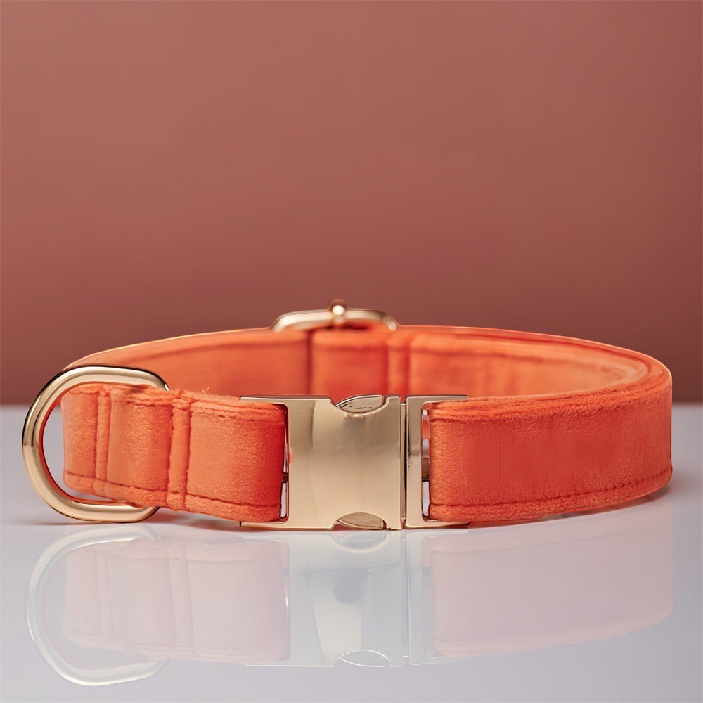 The Spoiled Pet Club orange velvet dog collar with gold metal buckle and D-ring, adjustable for comfort.
