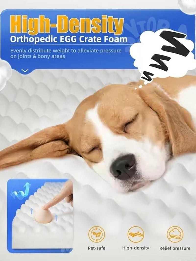 The Spoiled Pet Club Orthopedic Cloud Nap Bed, white egg crate foam with a sleeping beagle dog.