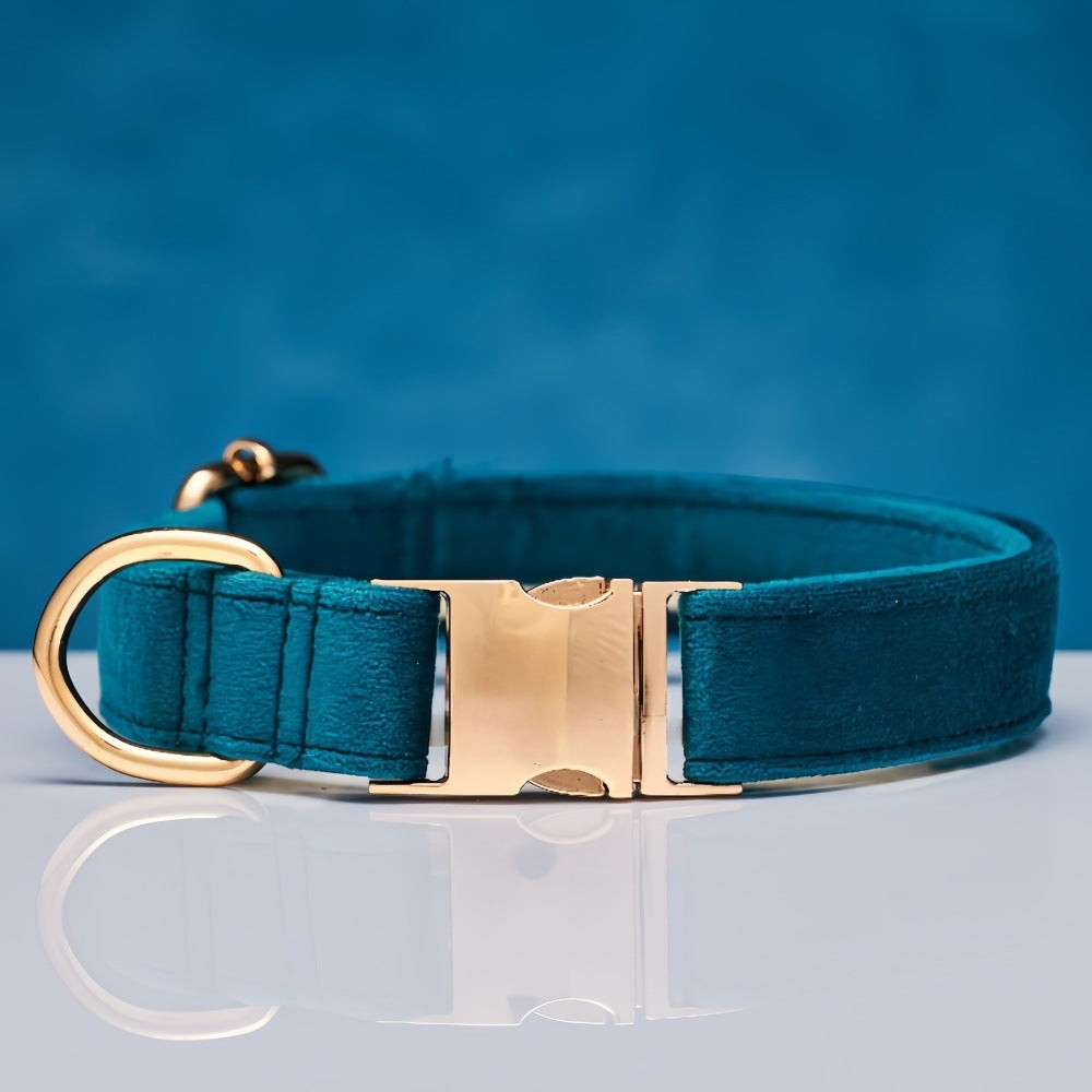 The Spoiled Pet Club peacock blue velvet dog collar with gold-tone metal buckle and D-ring on a reflective surface.
