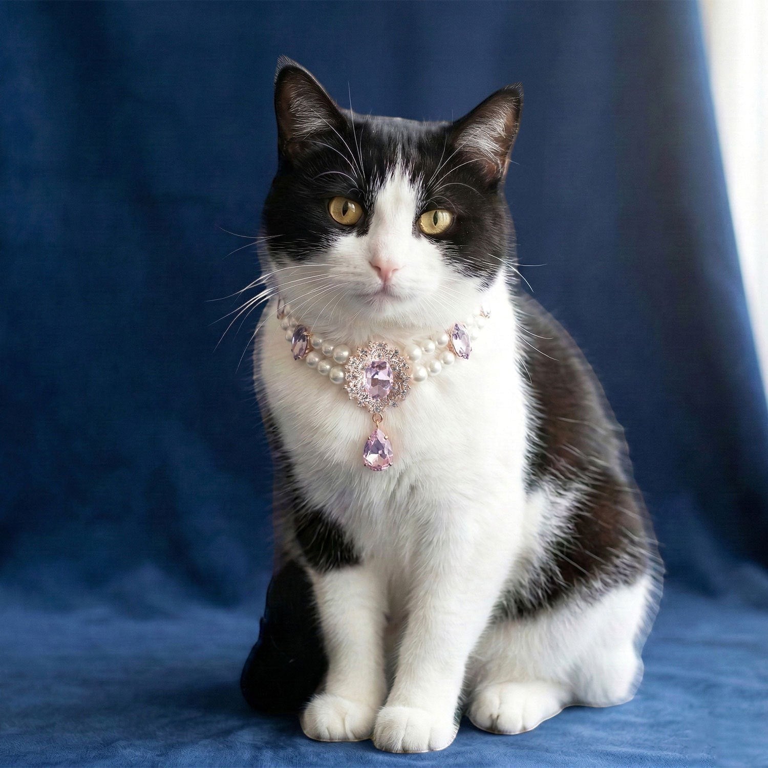 The Spoiled Pet Club Heiress collar featuring white pearls and a pink crystal pendant on a black and white cat