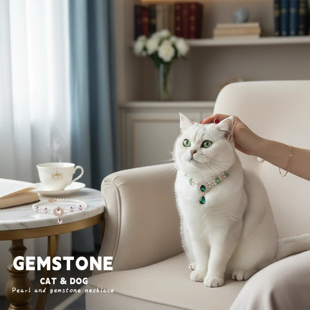 The Spoiled Pet Club Heiress pet collar with pearls and green gemstone on a white cat sitting in a cozy room