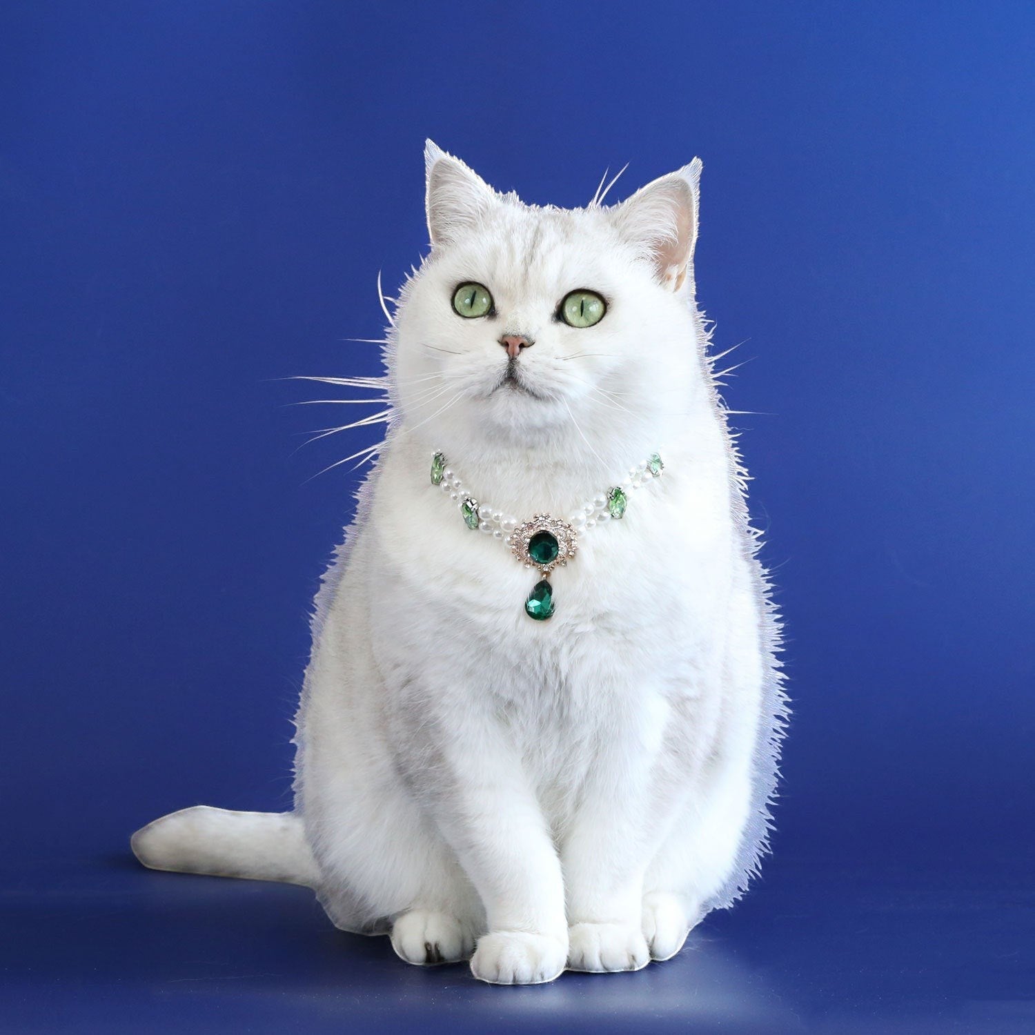 The Spoiled Pet Club The Heiress pet collar with white pearls and a green crystal pendant worn by a white cat