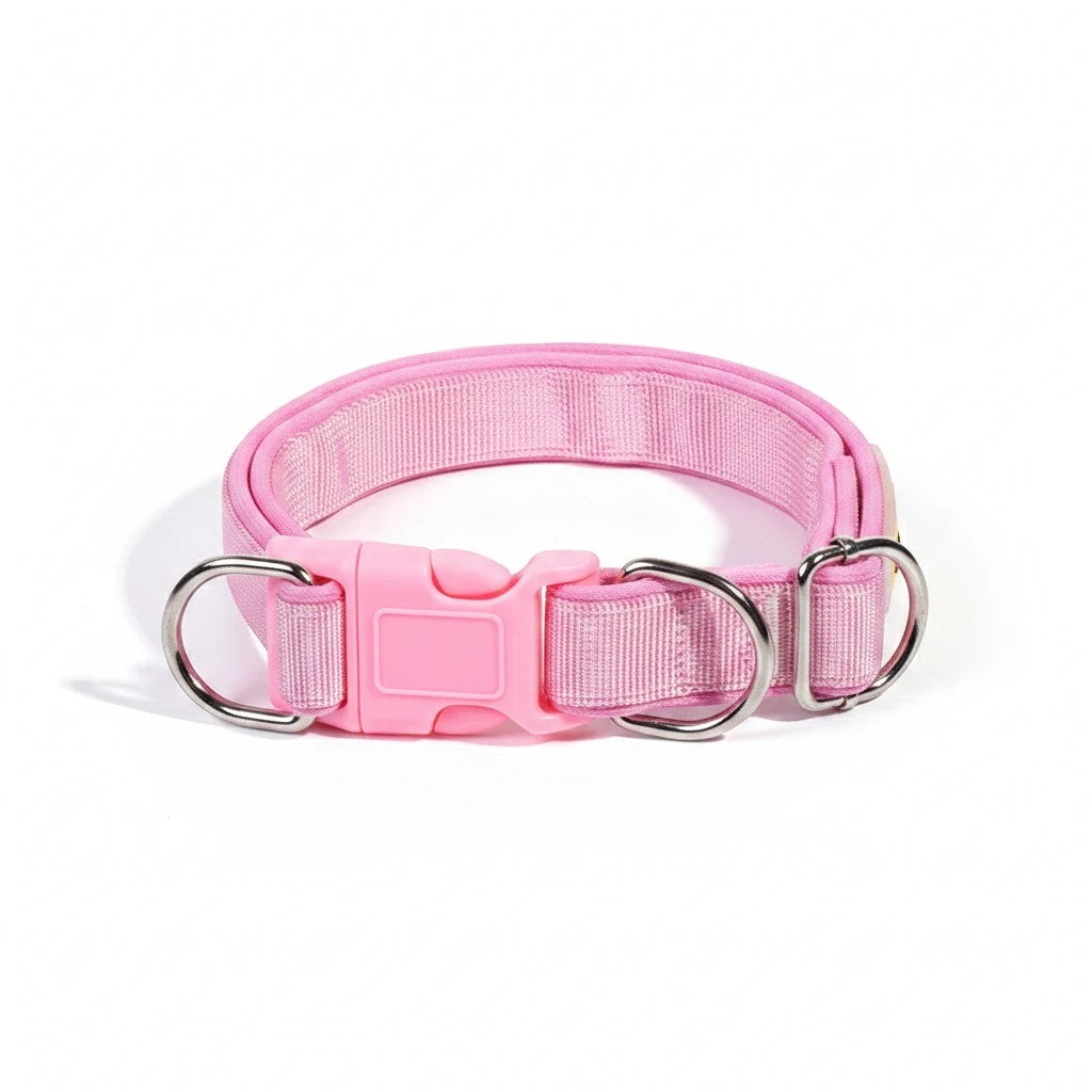 The Spoiled Pet Club pink polypropylene dog collar with adjustable fit and quick-release buckle.