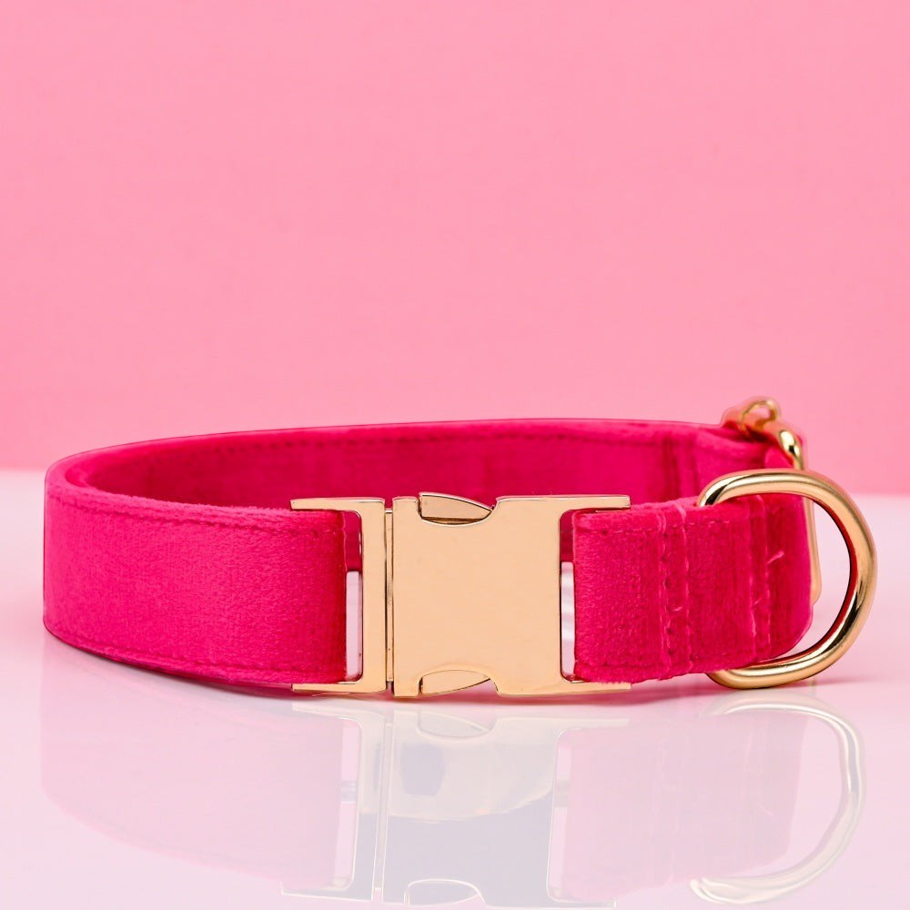 The Spoiled Pet Club adjustable hot pink velvet dog collar with gold metal buckle and D-ring.