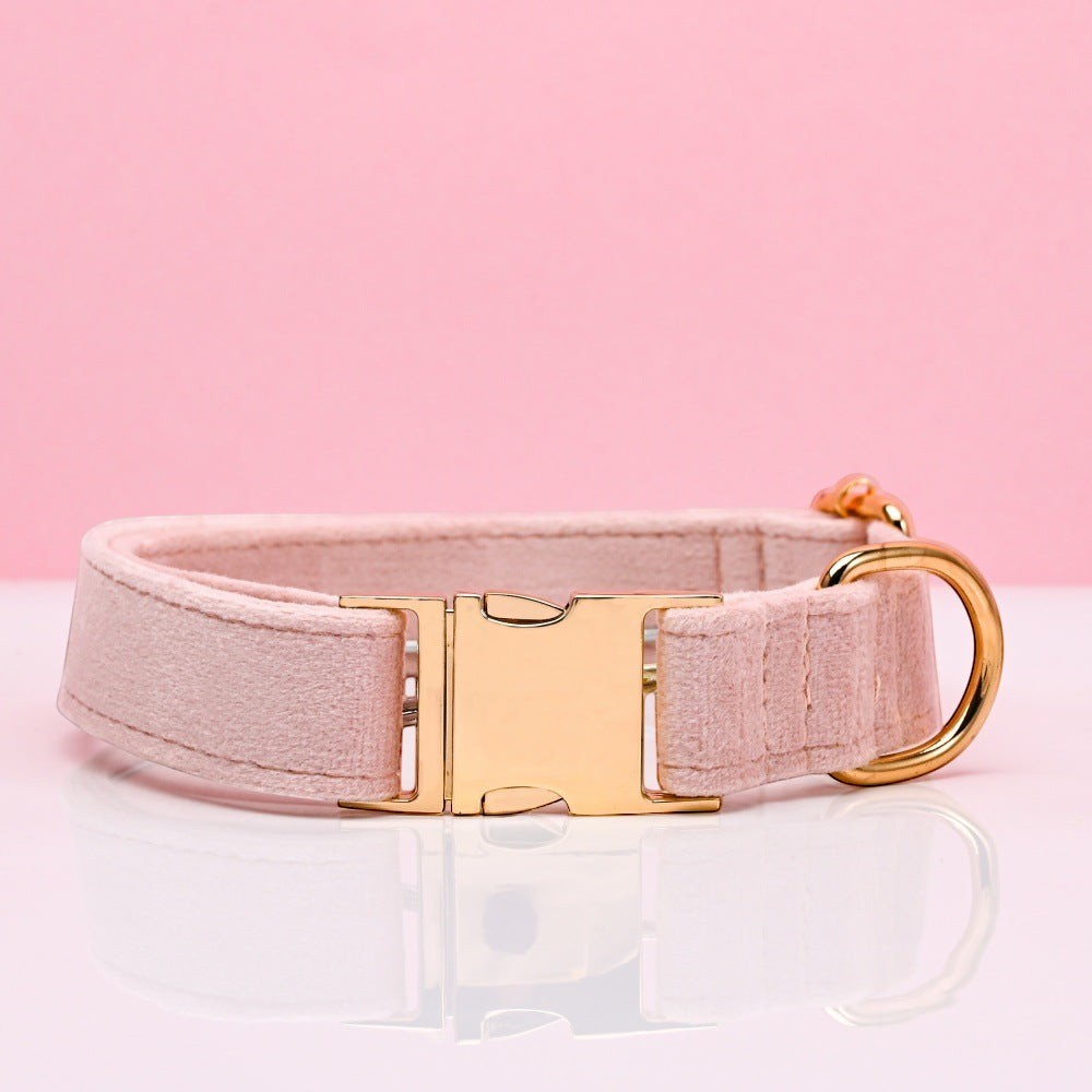 The Spoiled Pet Club light pink velvet dog collar with gold metal buckle and D-ring, adjustable and comfortable.